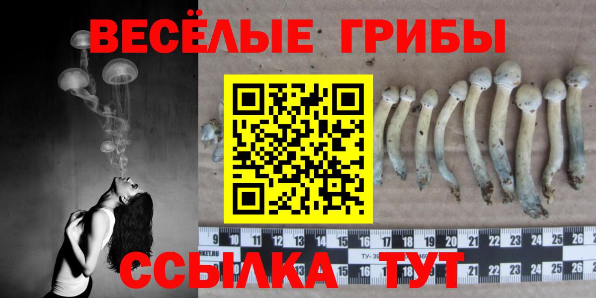Галлюциногенные грибы ЛСД Ливны