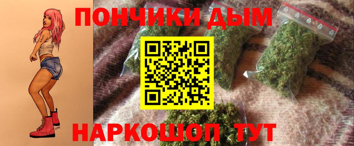 Канабис сатива Ливны